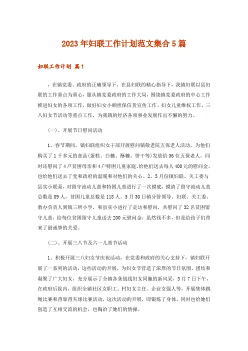 2023年妇联工作计划范文集合5篇