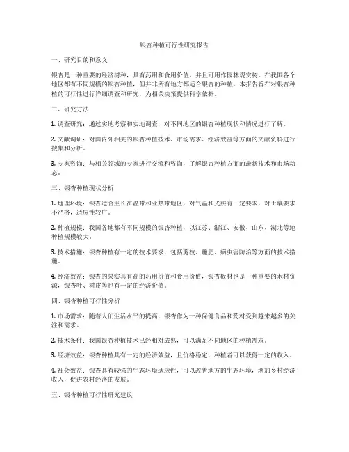银杏种植可行性研究报告