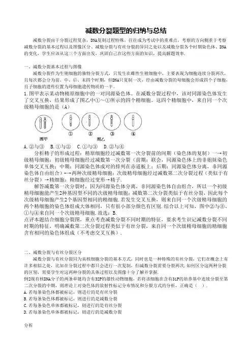 微专题——减数分裂题型的归纳与总结