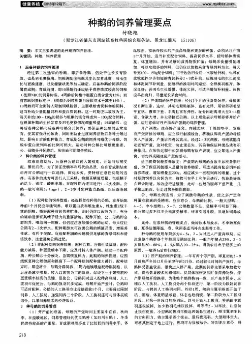 种鹅的饲养管理要点