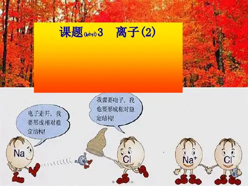 九年级化学《离子(2)》课件