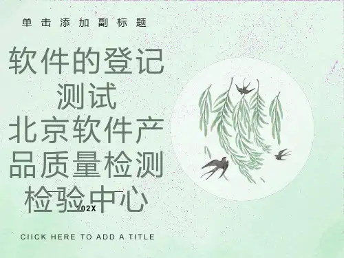 软件的登记测试