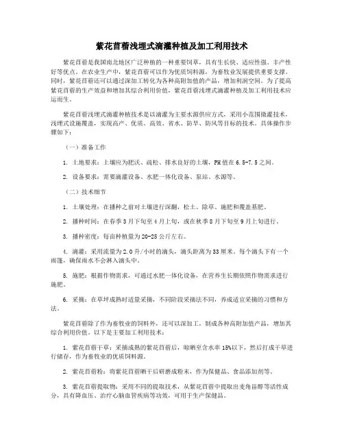 紫花苜蓿浅埋式滴灌种植及加工利用技术