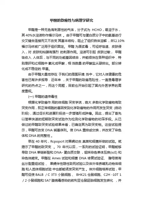 甲醛的致癌性与病理学研究