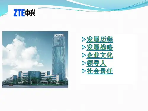 中兴案例分析-下载后编辑