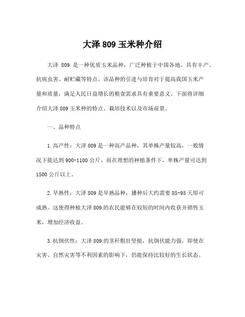 大泽809玉米种介绍