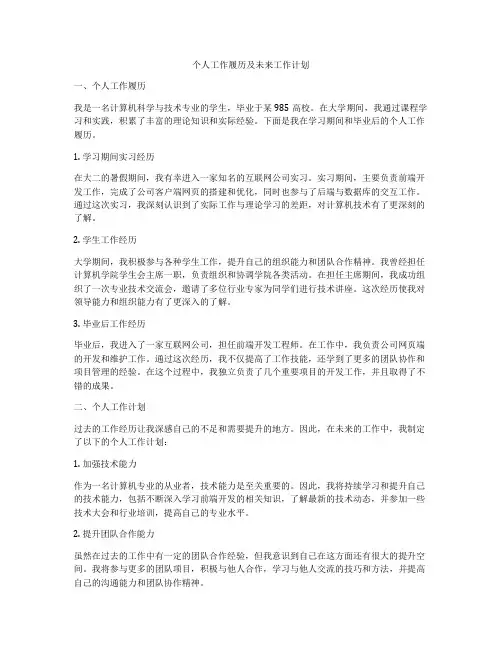 个人工作履历及未来工作计划