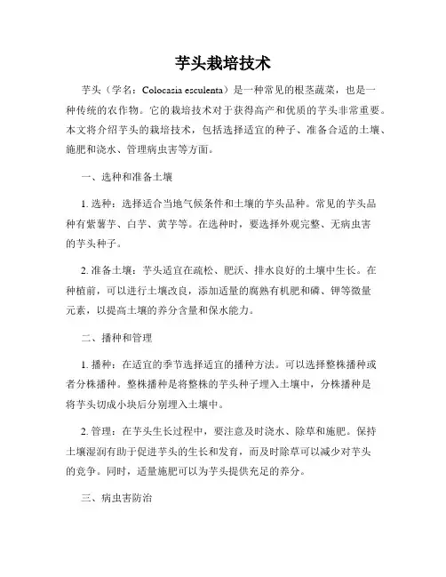 芋头栽培技术
