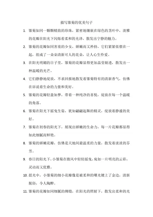 描写雏菊的优美句子