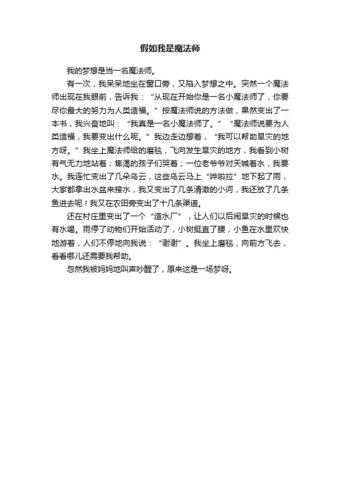假如我是魔法师