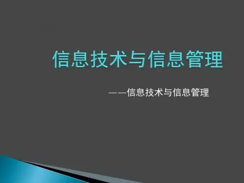 信息技术与信息管理(123)
