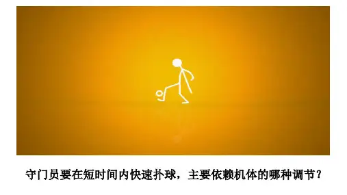 高二生物必修三《神经调节》课件(共16张PPT)