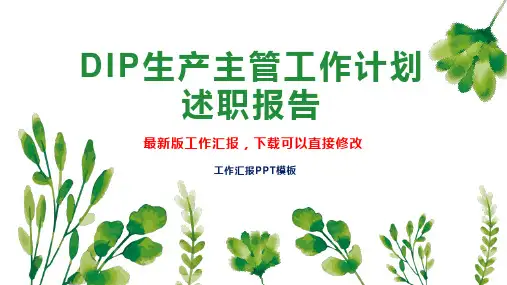 DIP生产主管工作计划述职报告PPT模板下载工作总结