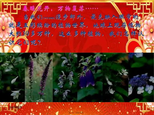 八年级生物上册 第14章 第1节五彩缤纷的植物世界课件