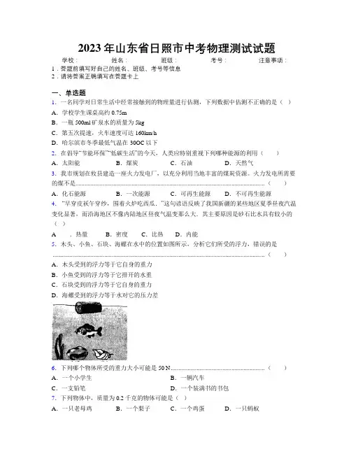 2023年山东省日照市中考物理测试试题及解析