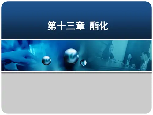 精细有机合成技术第十三章