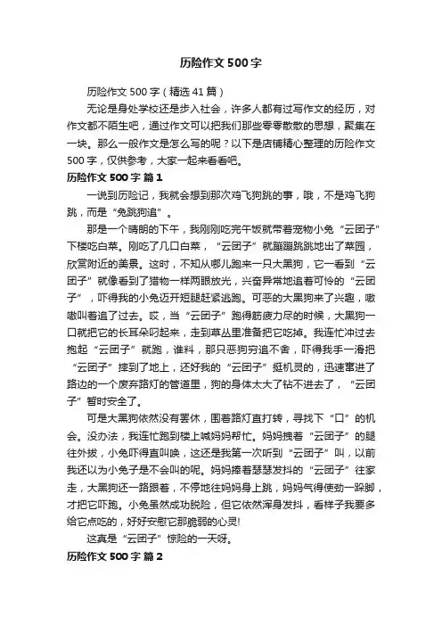 历险作文500字