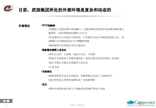 武烟集团管理诊断报告-管控与组织