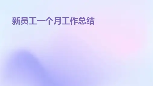 新员工一个月工作总结PPT