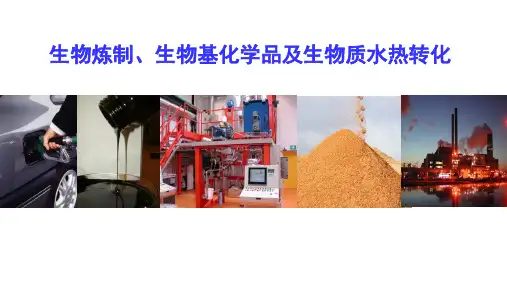 生物质转化工程 ppt课件