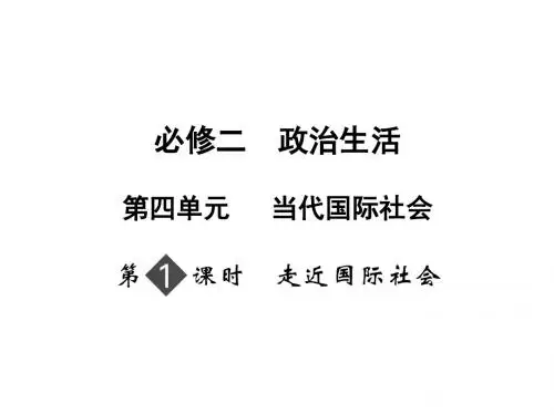 走近国际社会优秀课件9