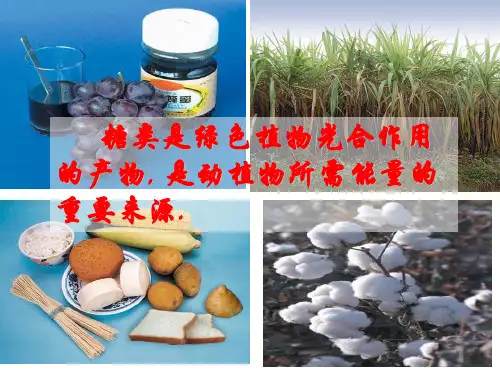 第二节糖类ppt课件
