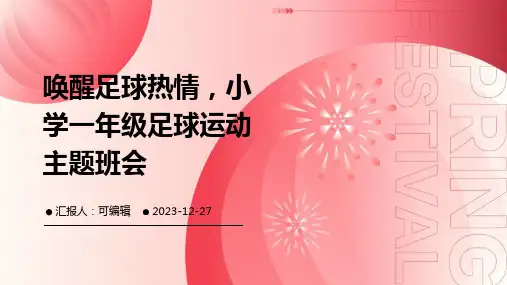 唤醒足球热情,小学一年级足球运动主题班会ppt