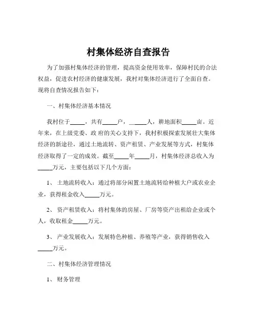 村集体经济自查报告