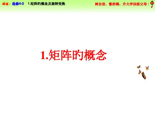 矩阵的概念和旋转变换PPT讲座