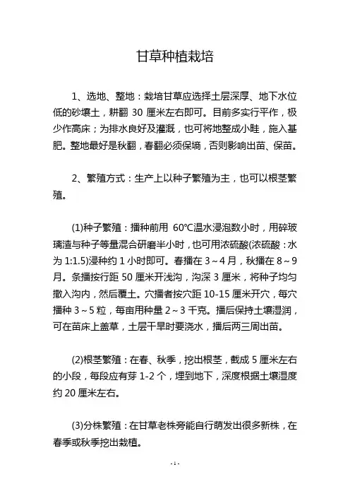 甘草种植栽培