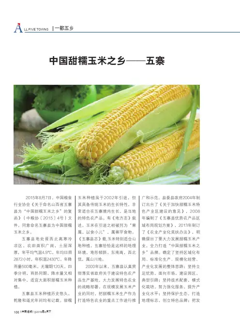 中国甜糯玉米之乡——五寨