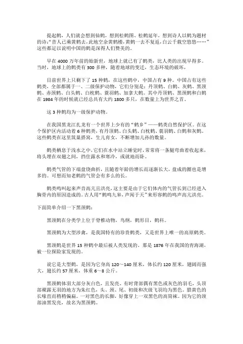 黑颈鹤的简单介绍