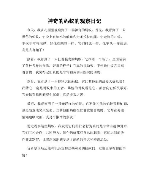 小学三年级作文神奇的蚂蚁的观察日记