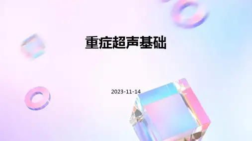(医学课件)重症超声基础