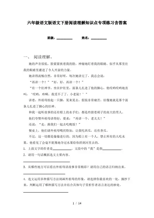 六年级语文版语文下册阅读理解知识点专项练习含答案