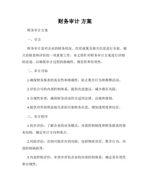 财务审计 方案