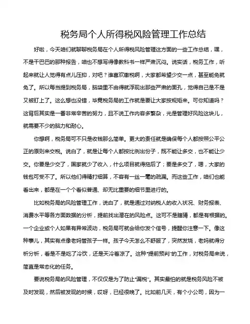 税务局个人所得税风险管理工作总结