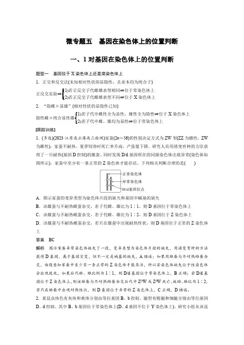 2024届高考一轮复习生物教案(苏教版)：基因在染色体上的位置判断