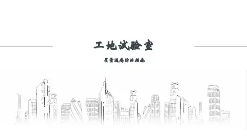 工地试验室质量通病防治措施