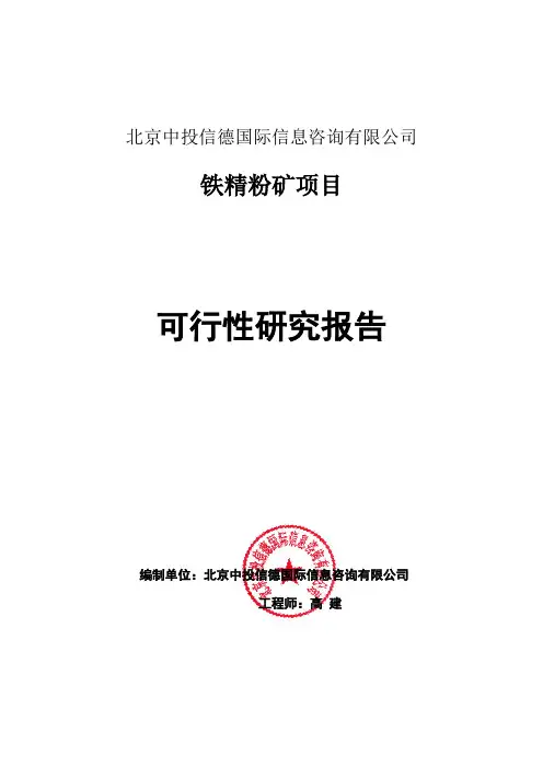 铁精粉矿项目可行性研究报告编写格式说明(模板套用型word)