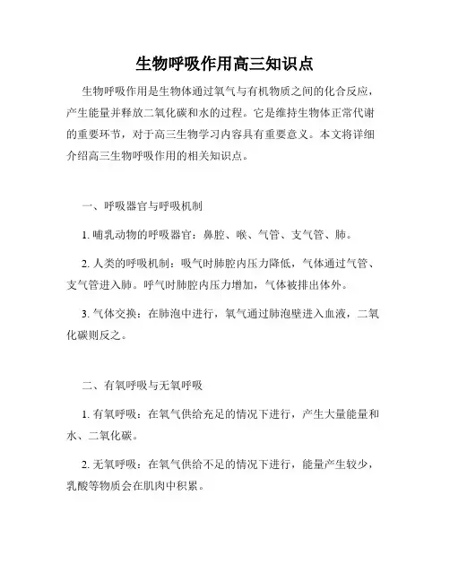 生物呼吸作用高三知识点