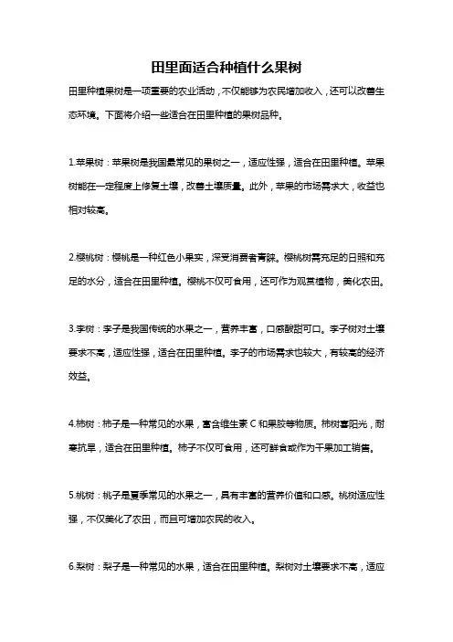 田里面适合种植什么果树