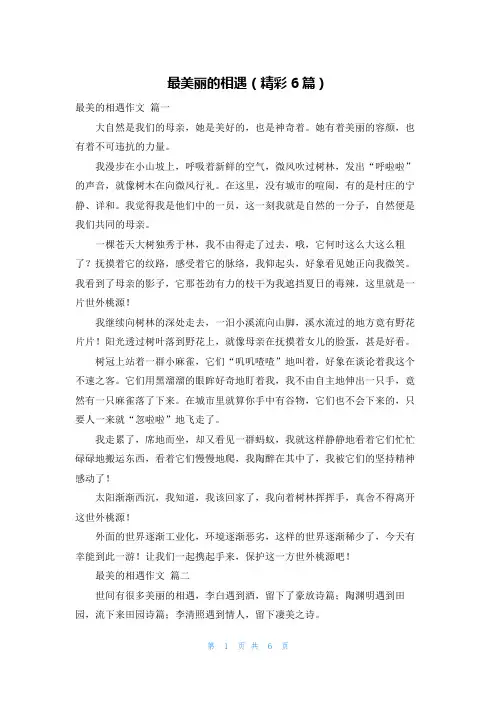 最美丽的相遇(精彩6篇)