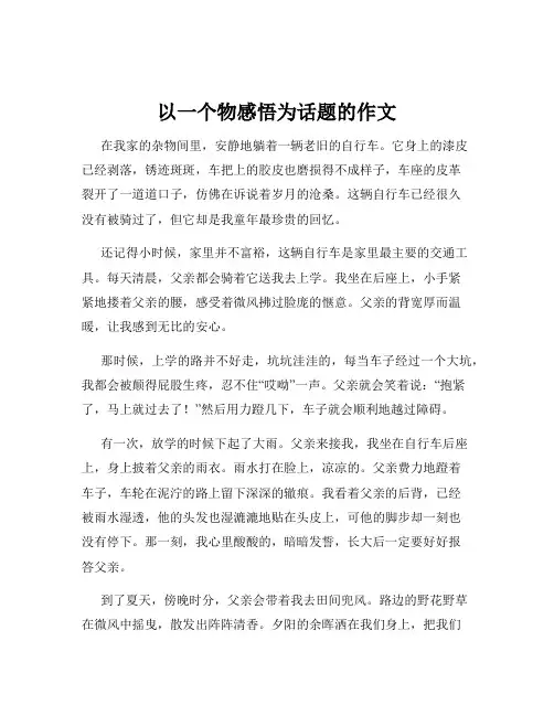 以一个物感悟为话题的作文