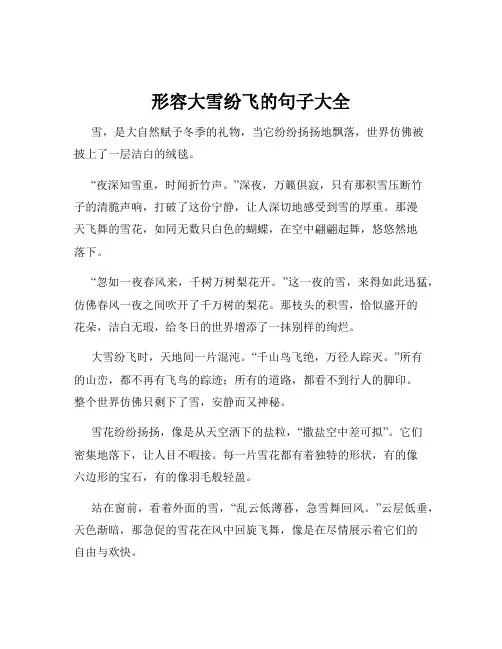 形容大雪纷飞的句子大全
