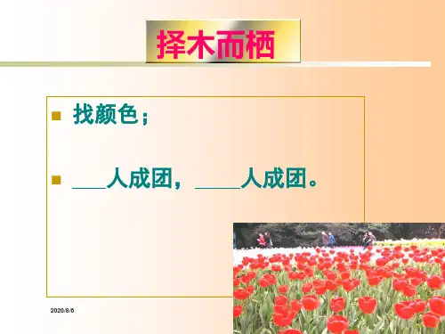 企业内部人际关系(ppt 53页)