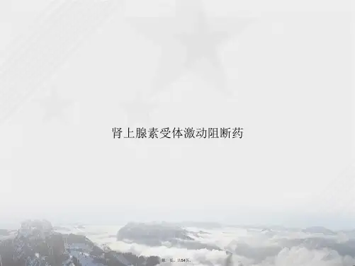 肾上腺素受体激动阻断药讲课文档