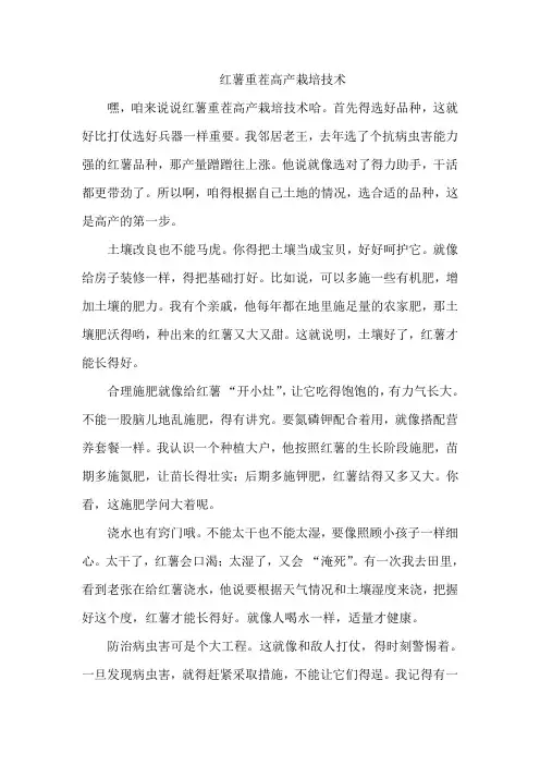 红薯重茬高产栽培技术