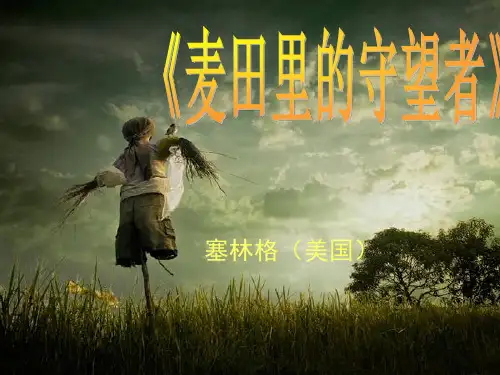 《麦田里的守望者》ppt[1]