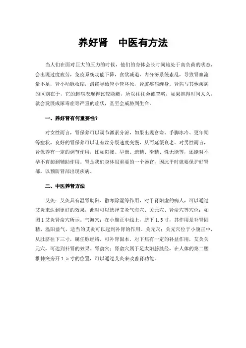 养好肾中医有方法